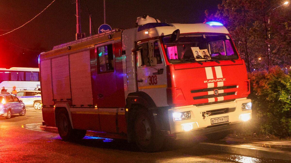    Фото: Shatokhina Natalia/news.ru