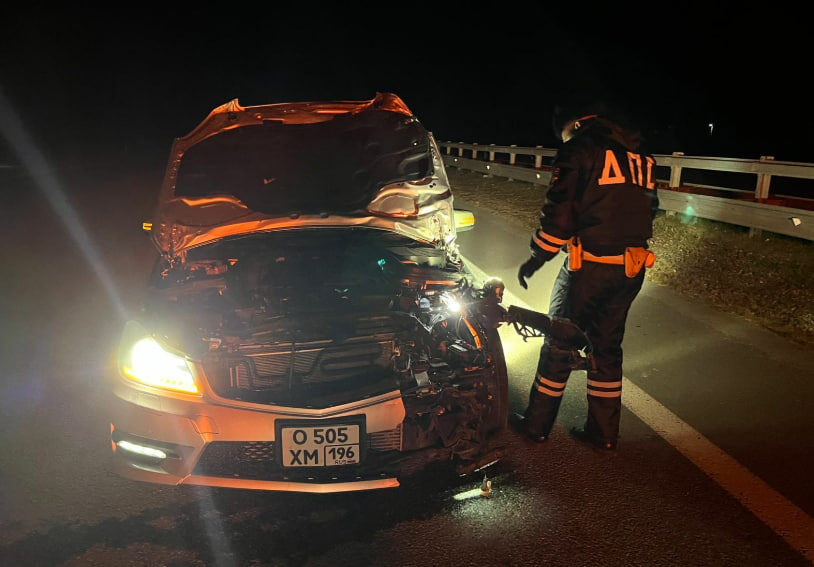     Фото: Госавтоинспекция Свердловской области