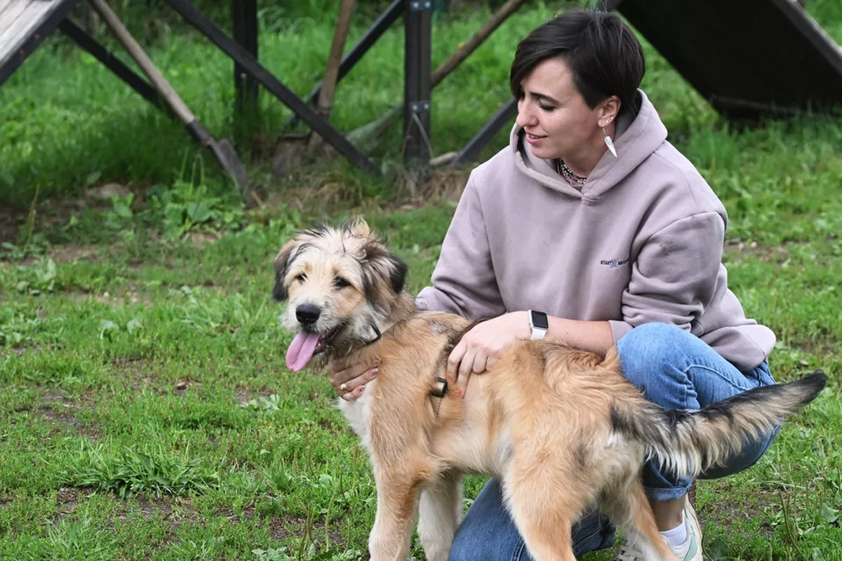    Фото: Михаил Воскресенский Источник: ria.ru