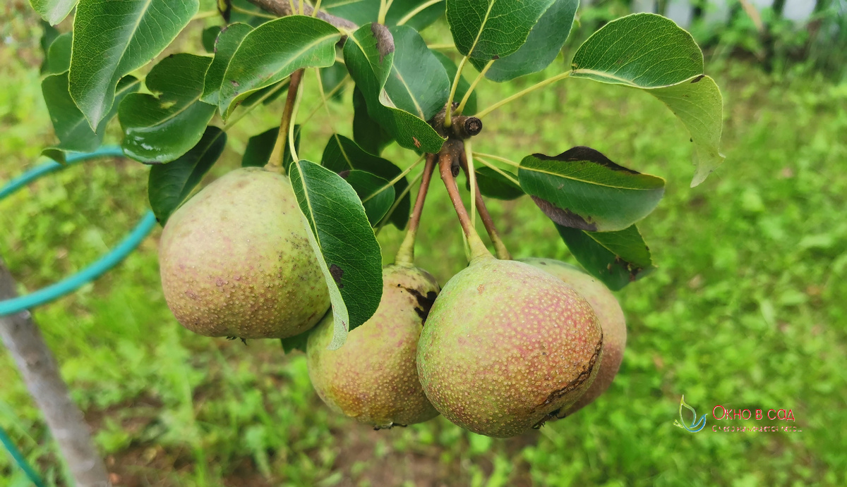 Фото из личного архива автора