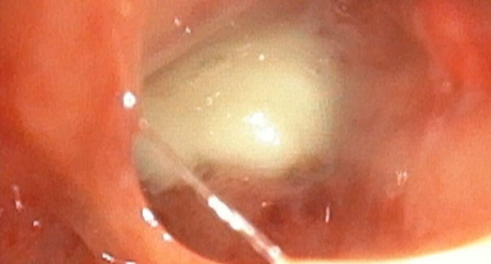    Пресс-служба Министерства здравоохранения Московской области