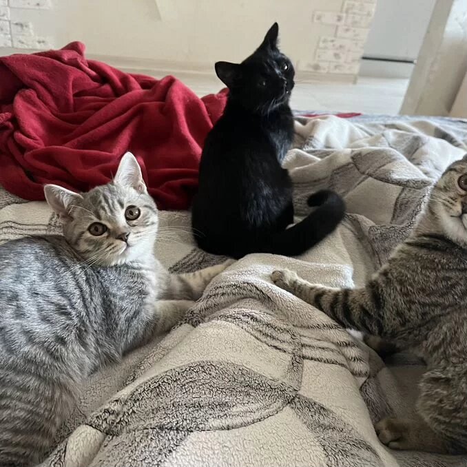 Фото из интернета.