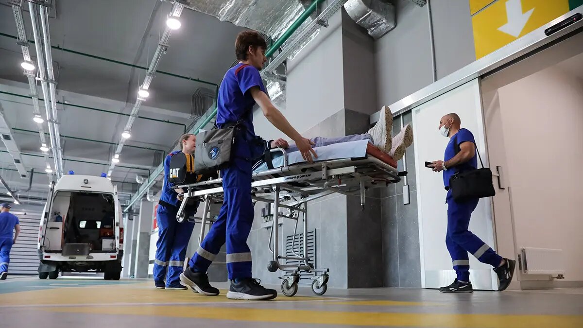    Фото: vm.ru Олеся Шмелева