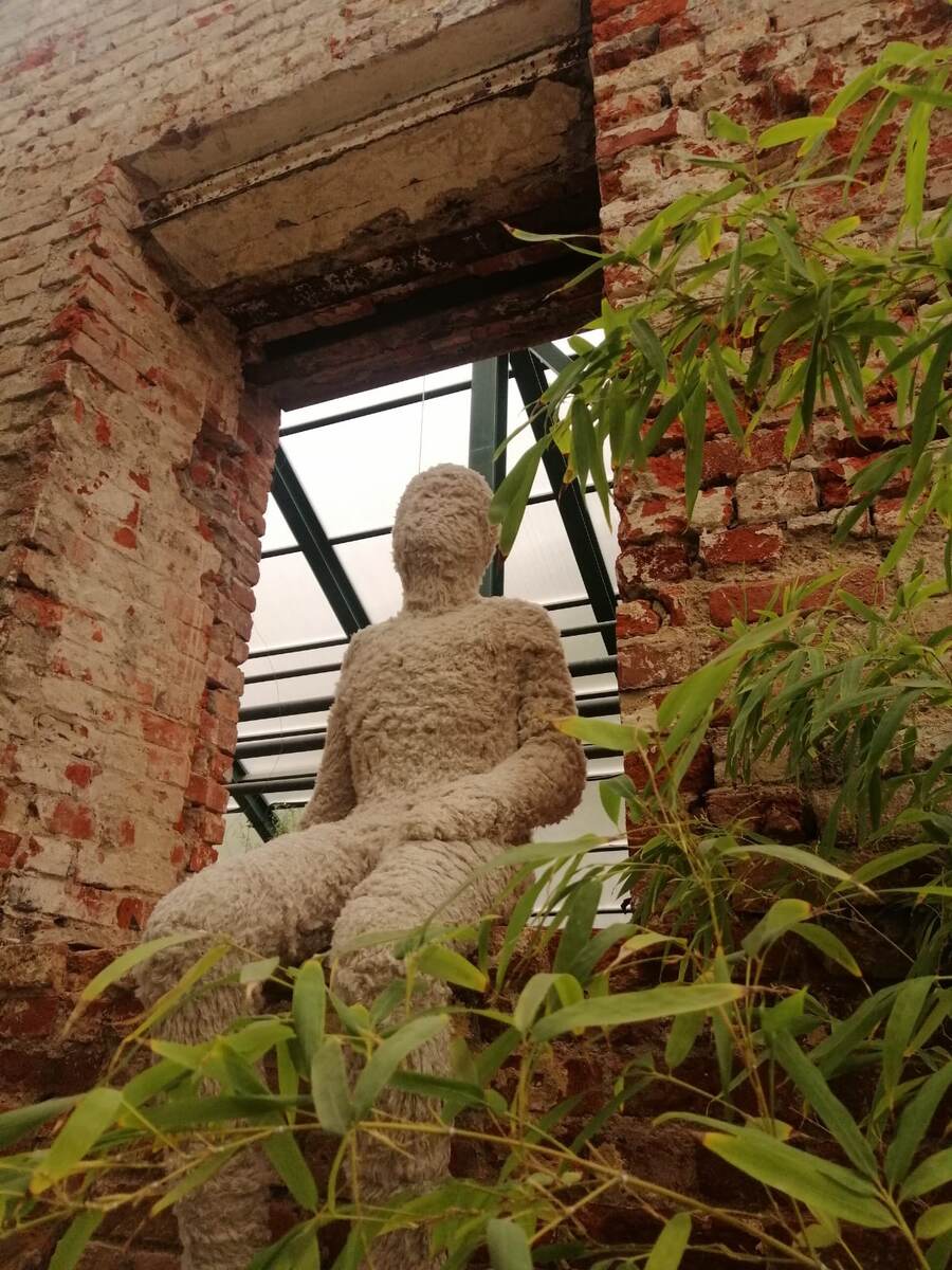 Осень 2022. Аптекарский огород. Конопляный человек.