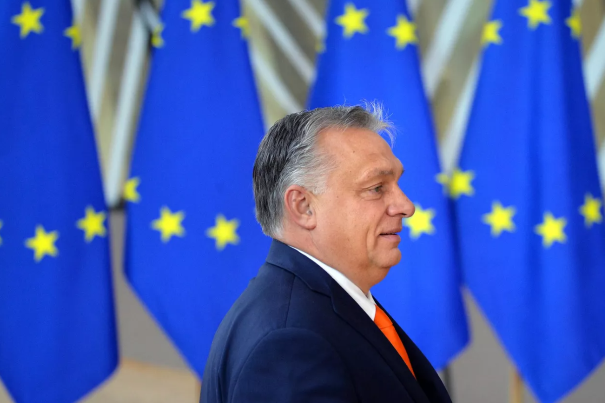    Фото: Алексей Витвицкий, источник: ria.ru