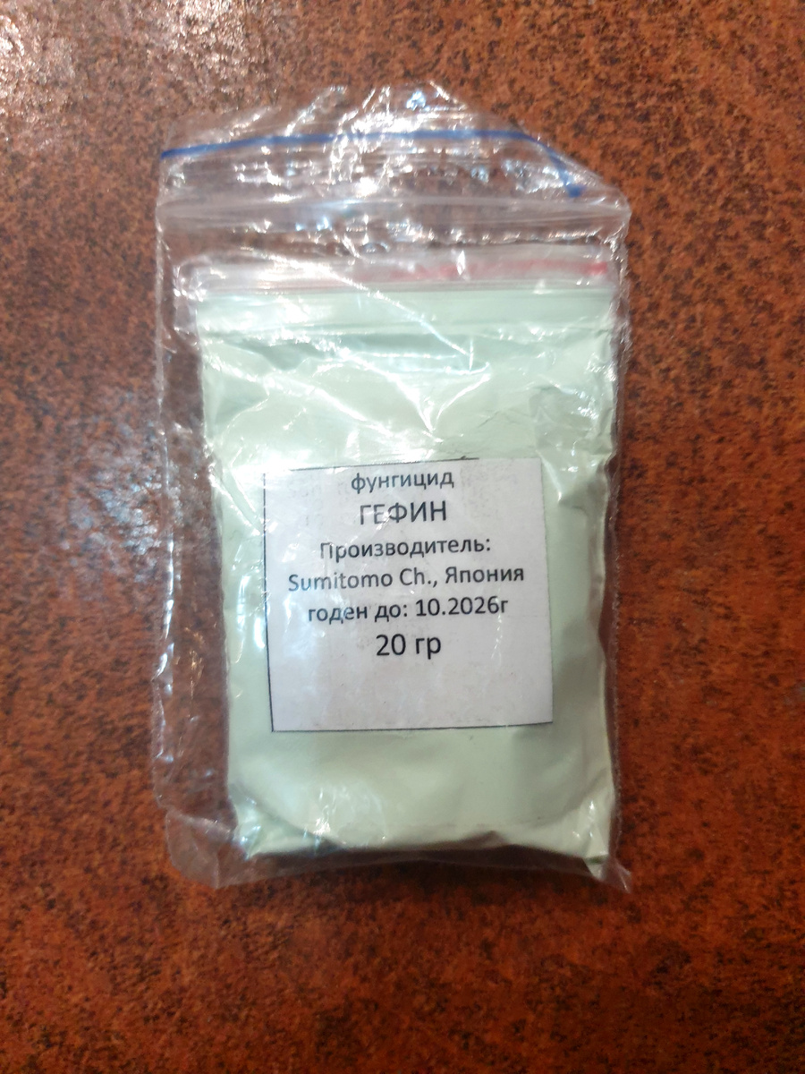 Фото автора.