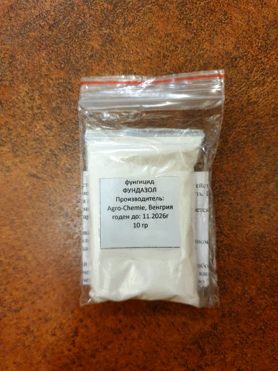 Фото автора.