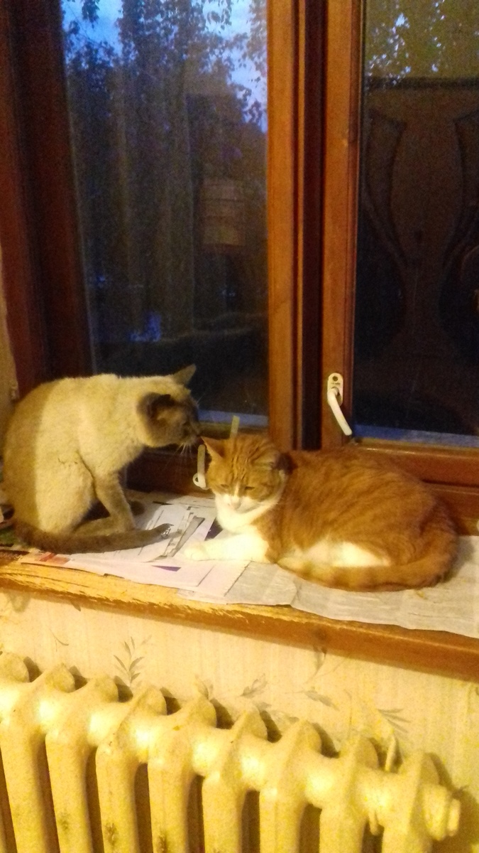 Степан и Василиса - герои моего стихотворения.