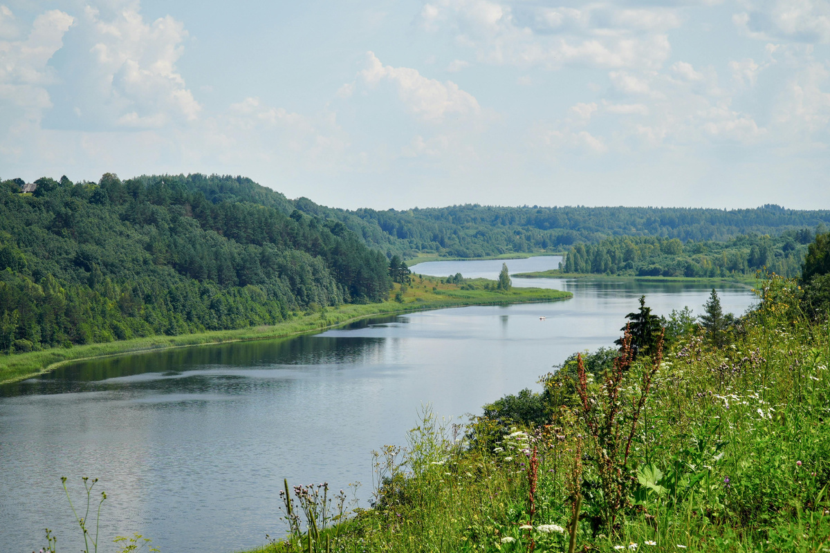 Фотограф: Irina Balashova: https://www.pexels.com/ru-ru/photo/33210420/