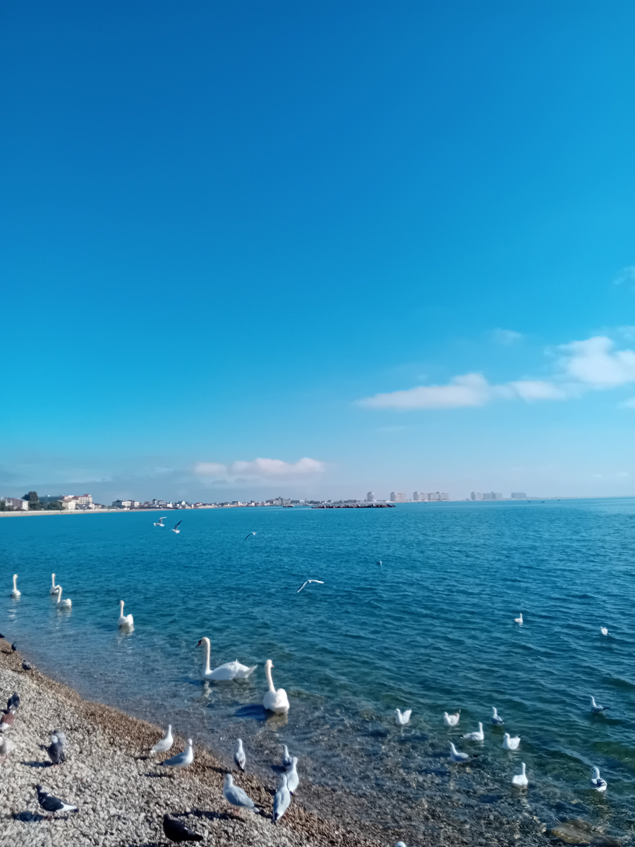 АВТОРСКОЕ ФОТО.