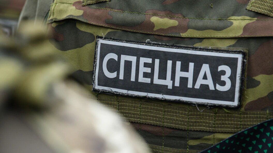    Фото: Ilya Moskovets/URA.RU/Globallookpress