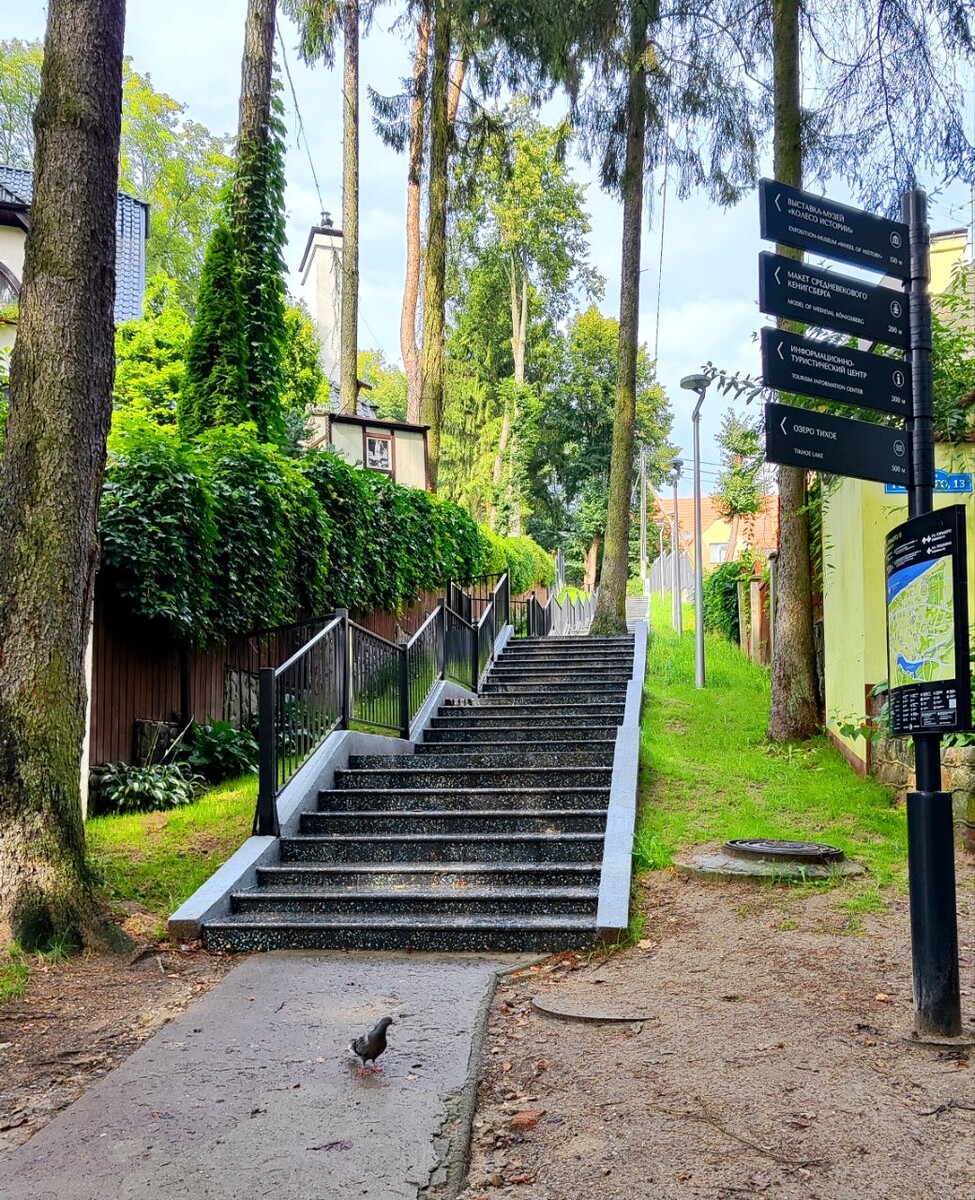 Красивая лестница в г. Светлогорске