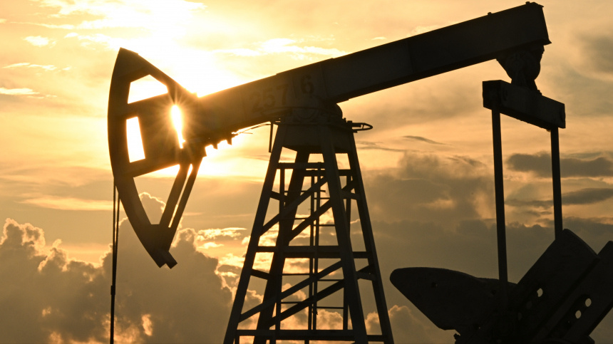    Фото: © РИА Новости/Максим Богодвид; 5-tv.ru