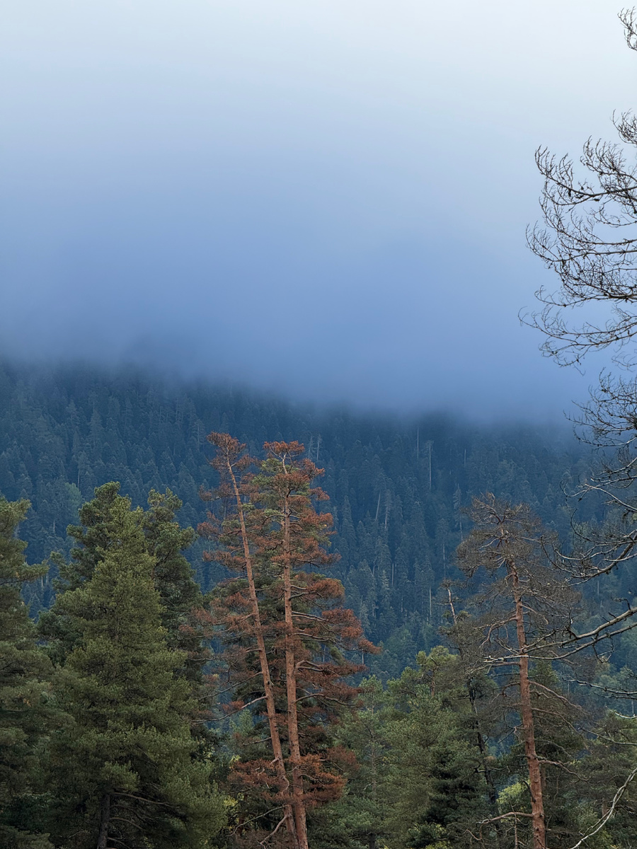 Дорога тоже красивая!