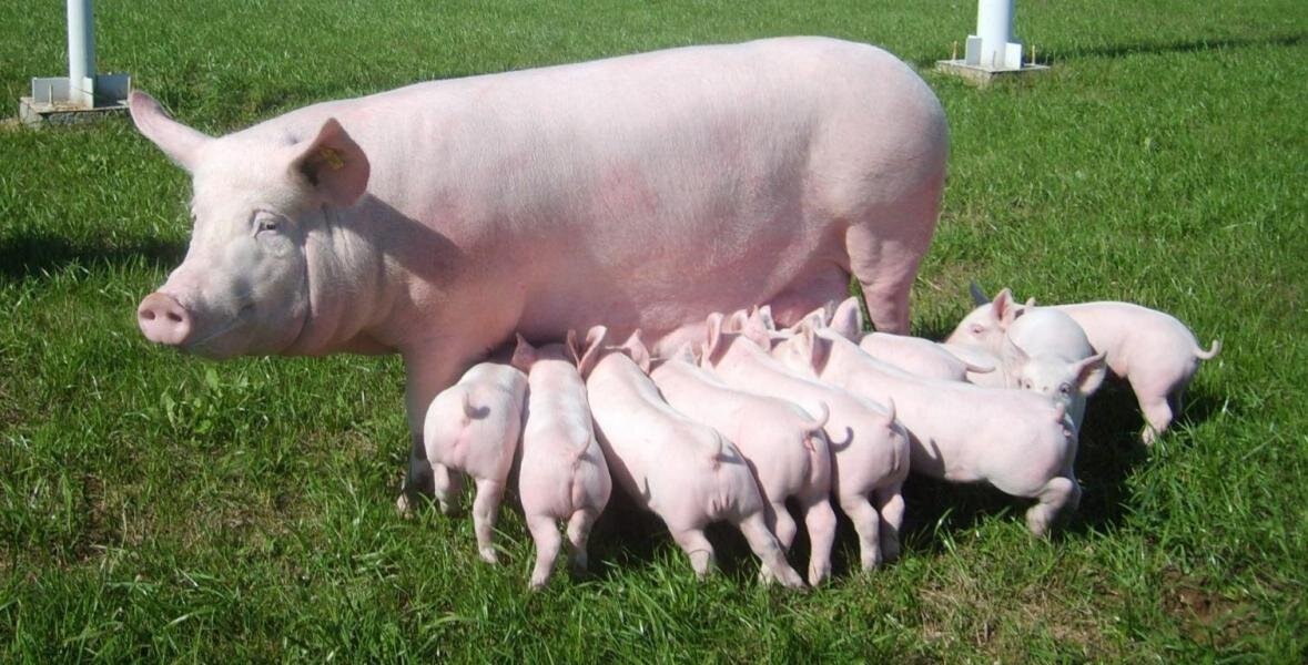 Фотография из интернета