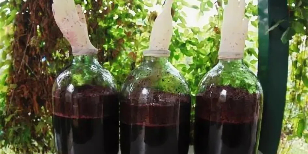 Домашнее ВИНО