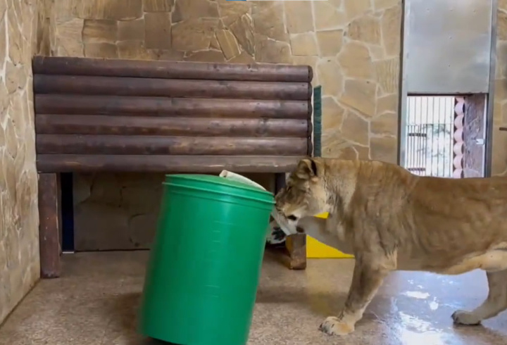 фото: t.me/lenzoopark