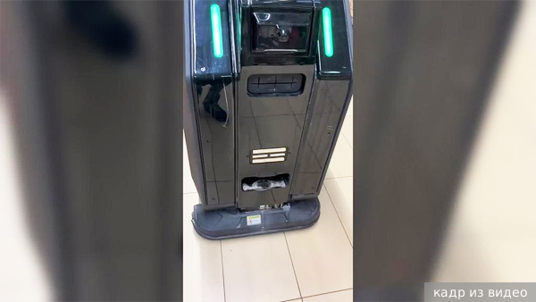     Фото: кадр из видео   
 Текст: Ольга Иванова