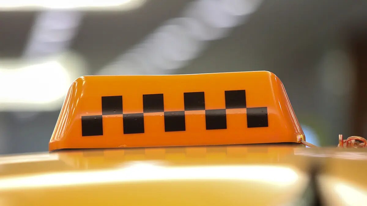    Фото: vm.ru Оливия Ильинская