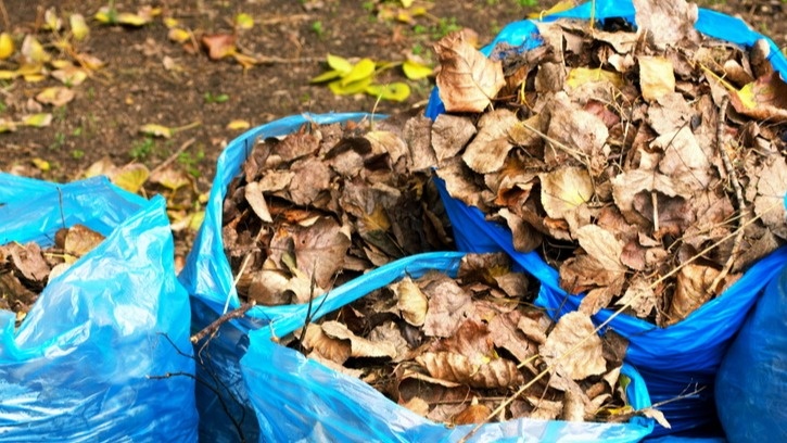 Осенняя листва - бесплатный материал для быстрого компоста
