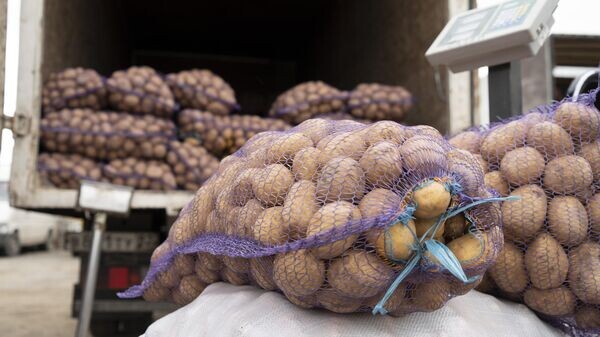    © РИА Новости Крым