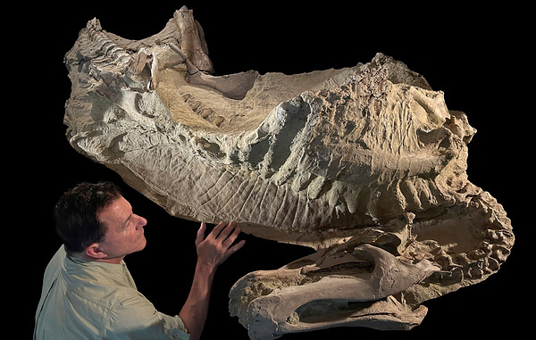 Tyler Keillor/Fossil Lab/Handout via REUTERS