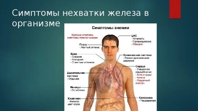 Симптомы нехватки железа