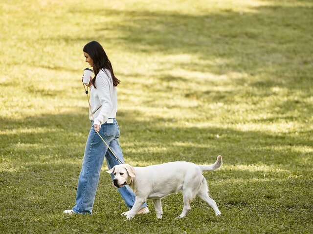    Фото: 123RF/lightfieldstudios