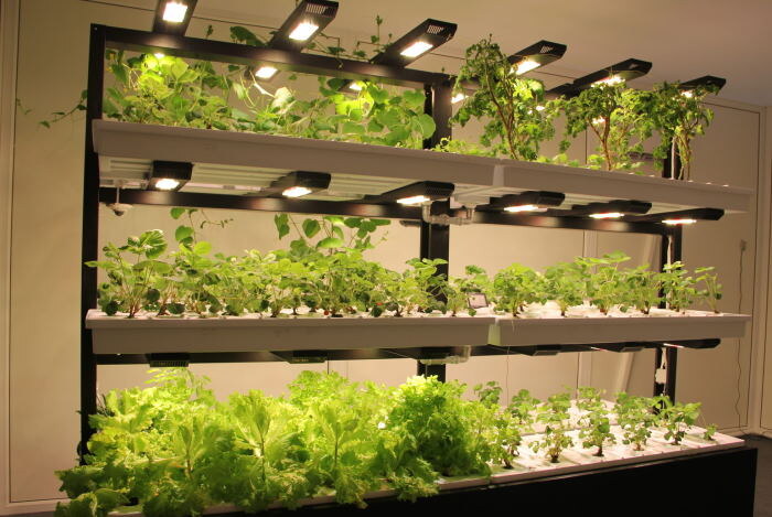 Пример сити-фермы дома интерьерно и полезно (фото: interviewrussia.ru)