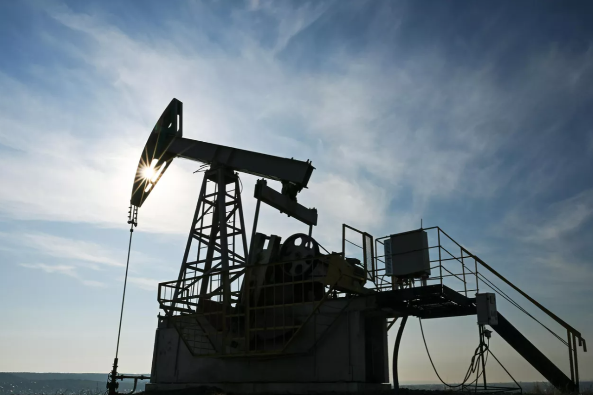    Фото: Максим Богодвид, источник: ria.ru