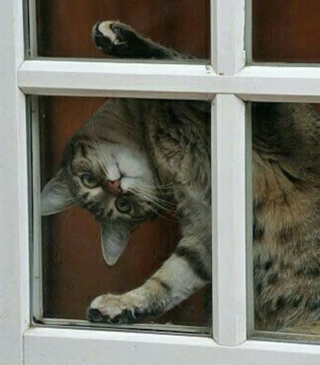 так тоже не пересматриваем))) источник Яндекс-картинки