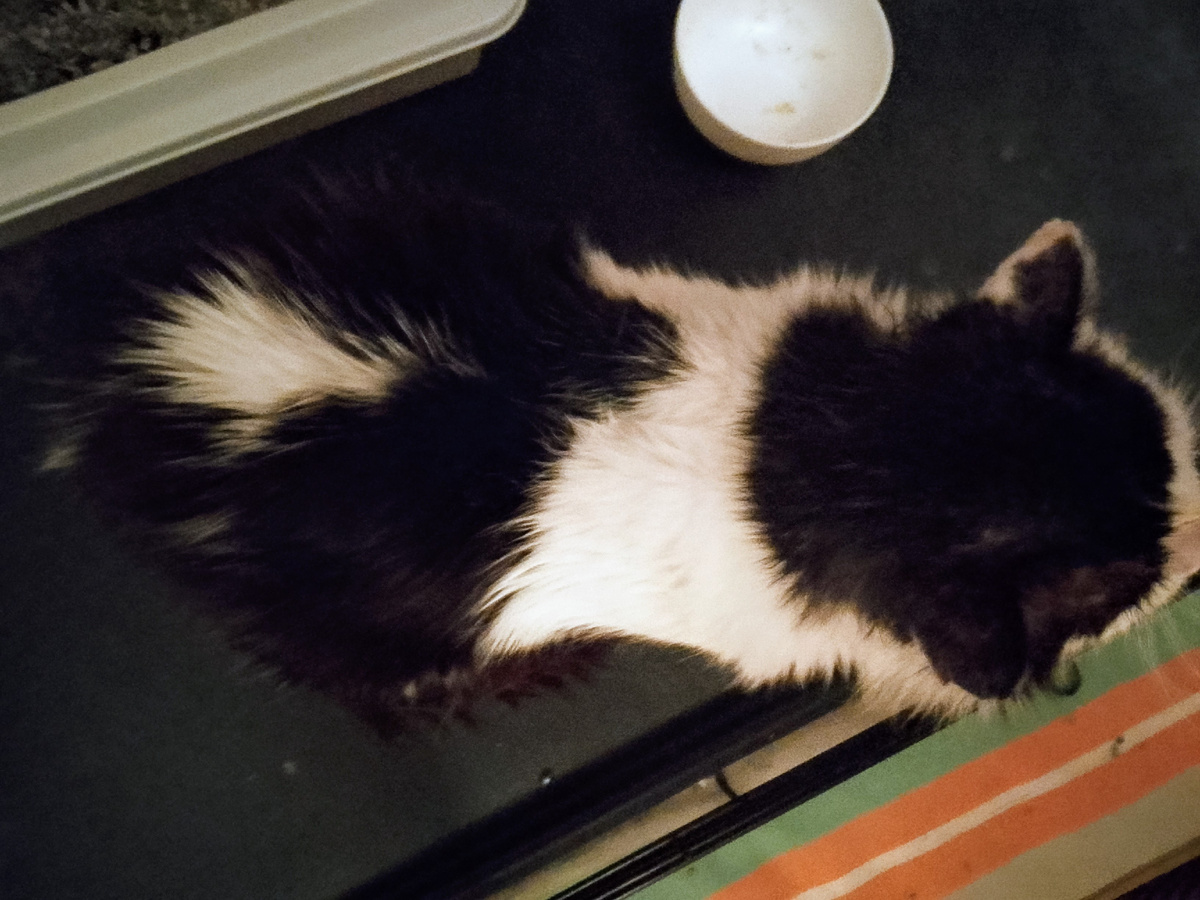 Просили вид сверху