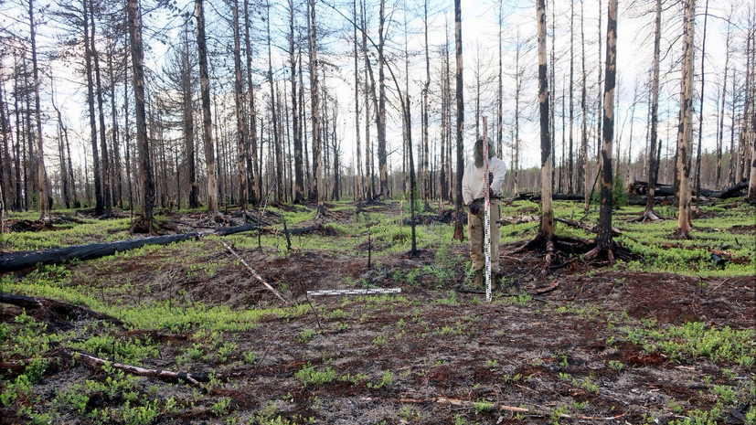    Надежда Гриценко / Пресс-служба правительства ЯНАО
