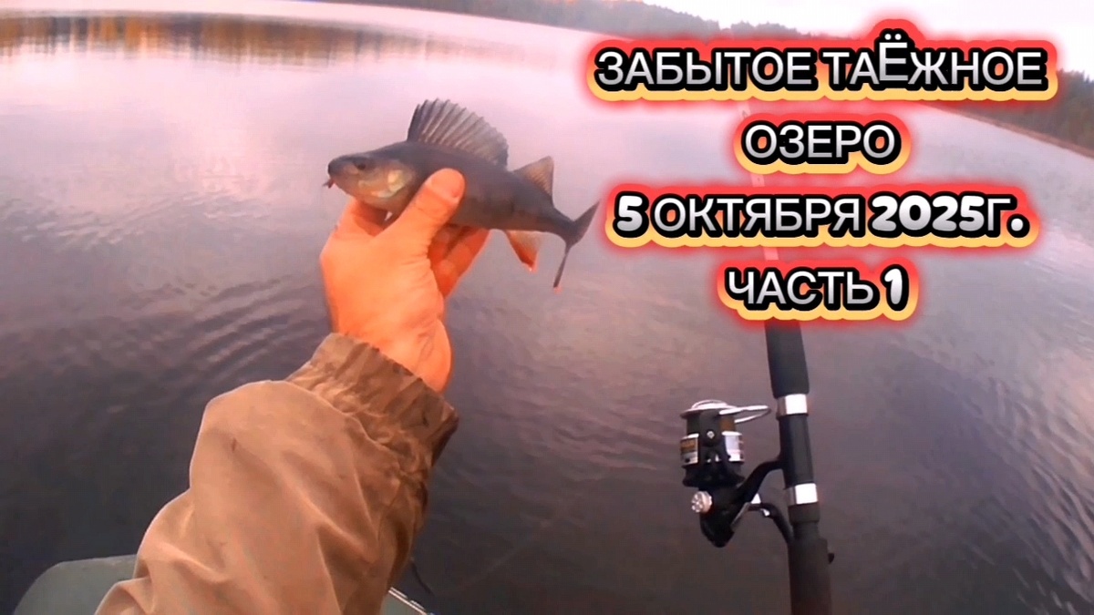 ПЕРВЫЙ ДЕНЬ . ЧАСТЬ 1. СМОТРИМ 👇