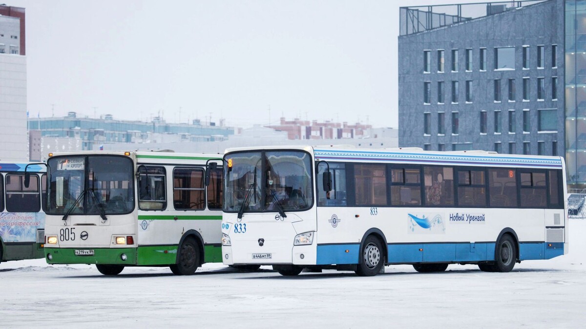    Фото: Art Konovalov/Shutterstock/Fotodom