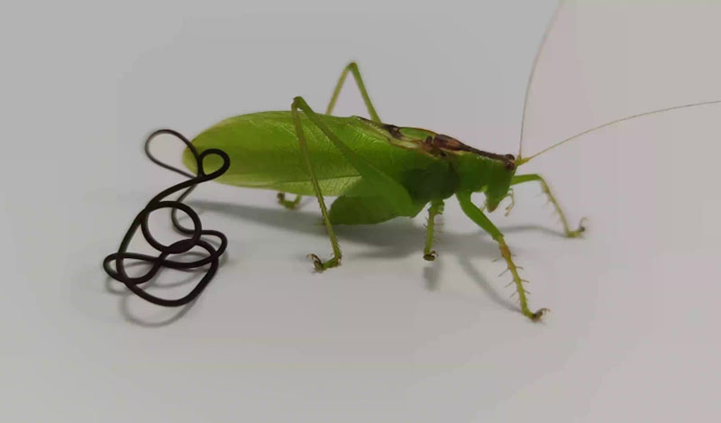 Фото: ak.picdn.net