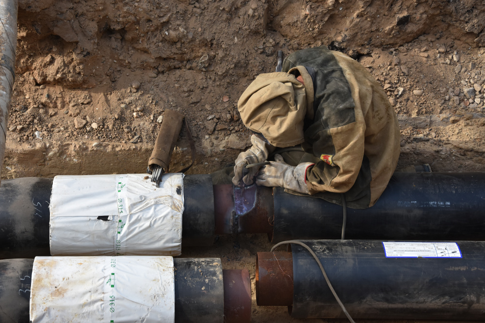    ФОТО: grad.kostroma.gov.ru