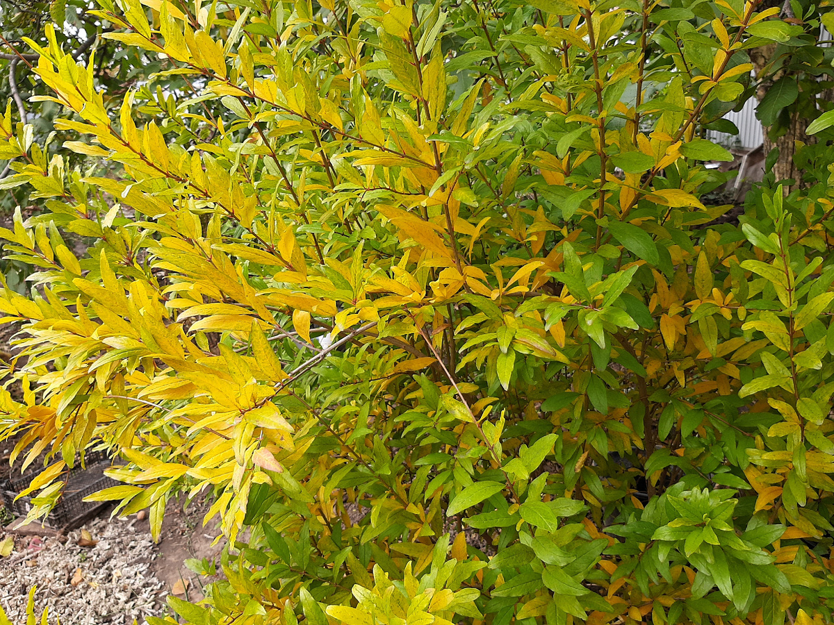 11 октября 2025 года