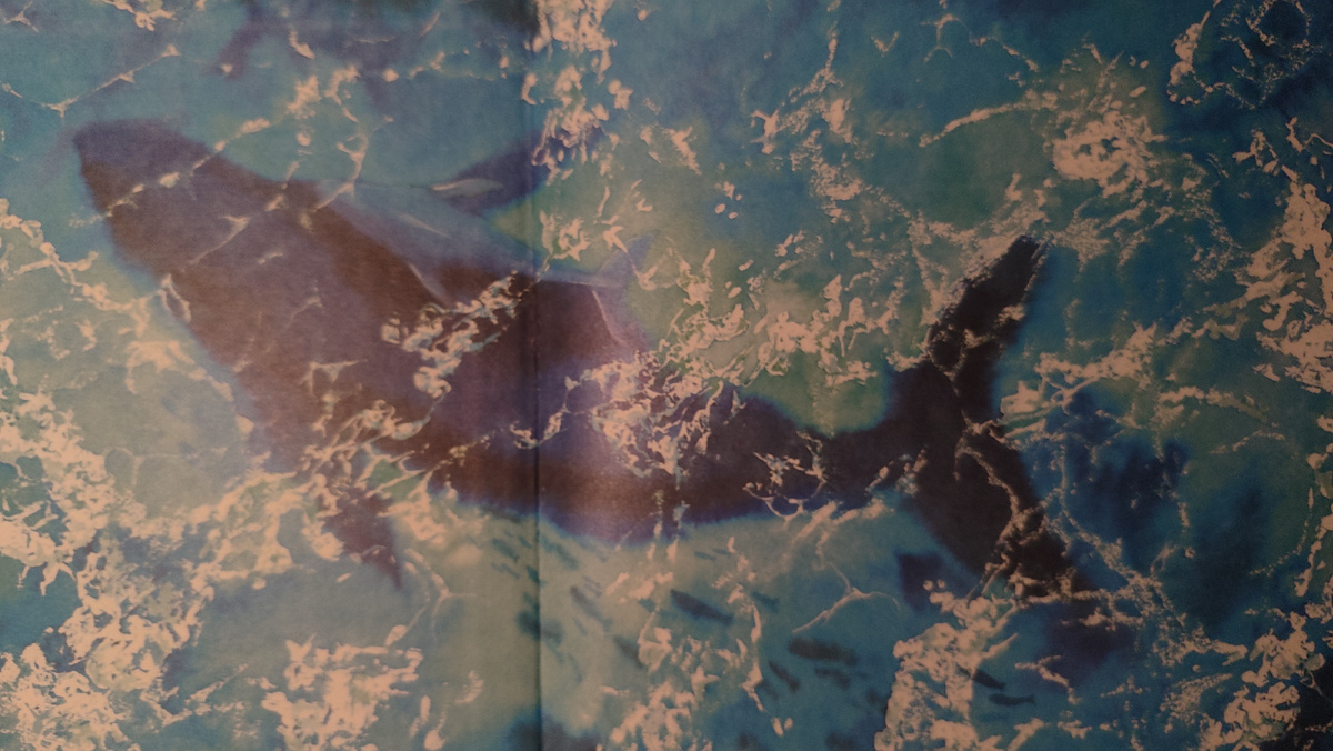 Разворот книги «Море любит тебя». Иллюстрации Е. Чистотиной. 