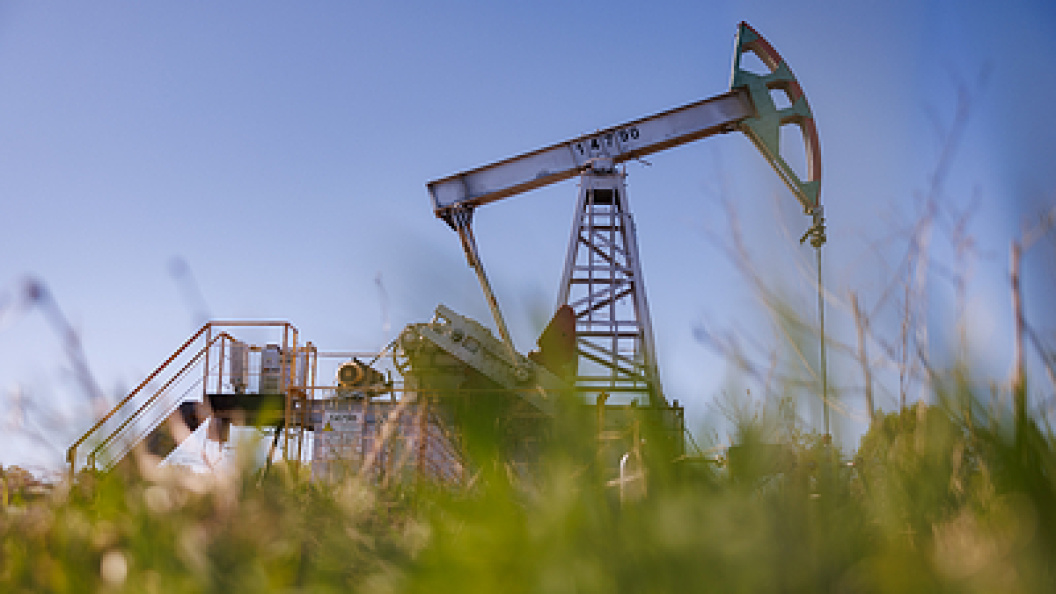    Фото: Sergey Elagin/Business Online/Globallookpress