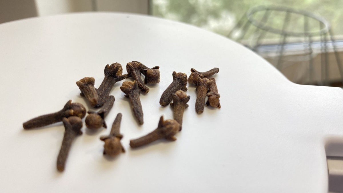 Фото: ИА SM-News📷
