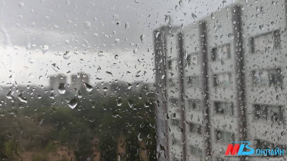    Фото: МТВ.ОНЛАЙН / Елизавета Денисова