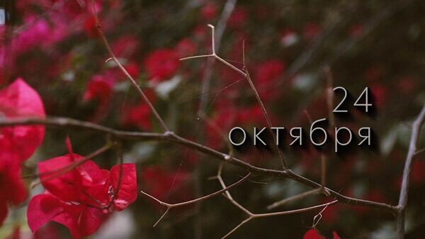    © Photo : Andreea Ch: Pexels