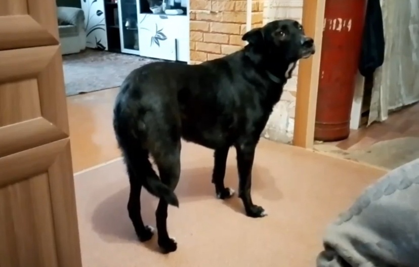 Красавица Николь немного а шоке 