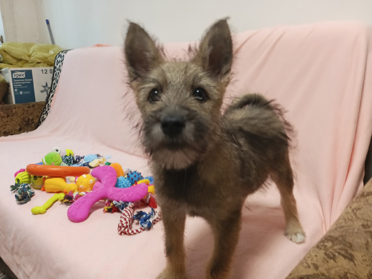 Успел сфотографироваться перед отъездом.