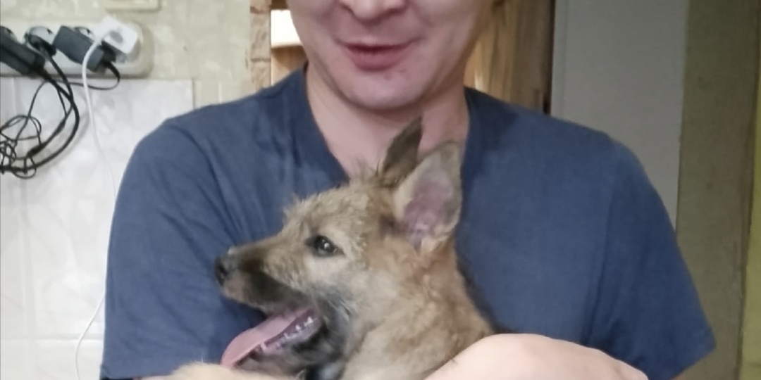 Милый Ёжик, взял пример со своей сестрёнки и укатил домой