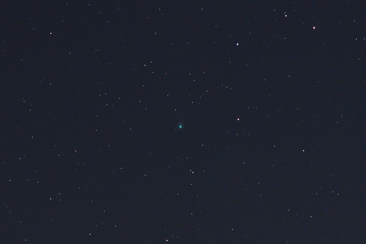 Комета C/2025 A6 (Lemmon) 2 октября 2025 года, фото автора