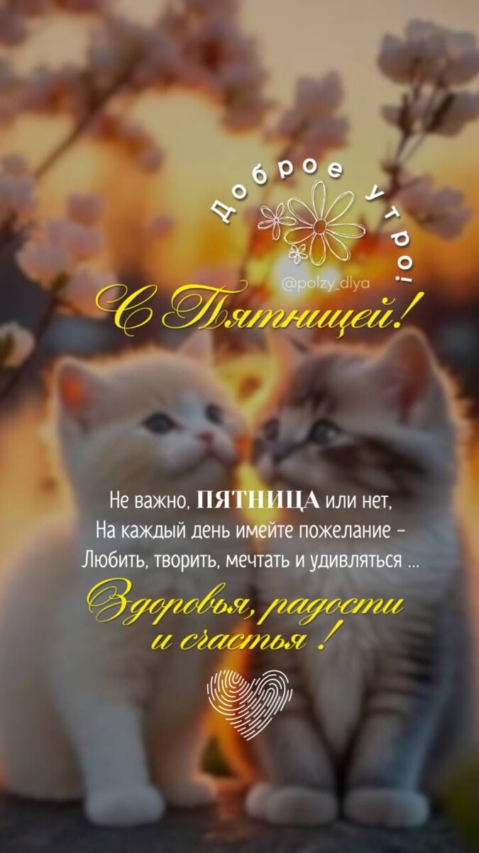 Из интернета для хорошего настроения 