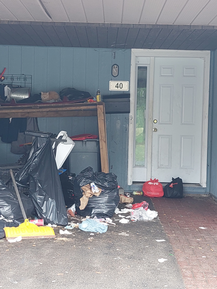 Рыжая кошка лежит на верхней полке это безобразия.