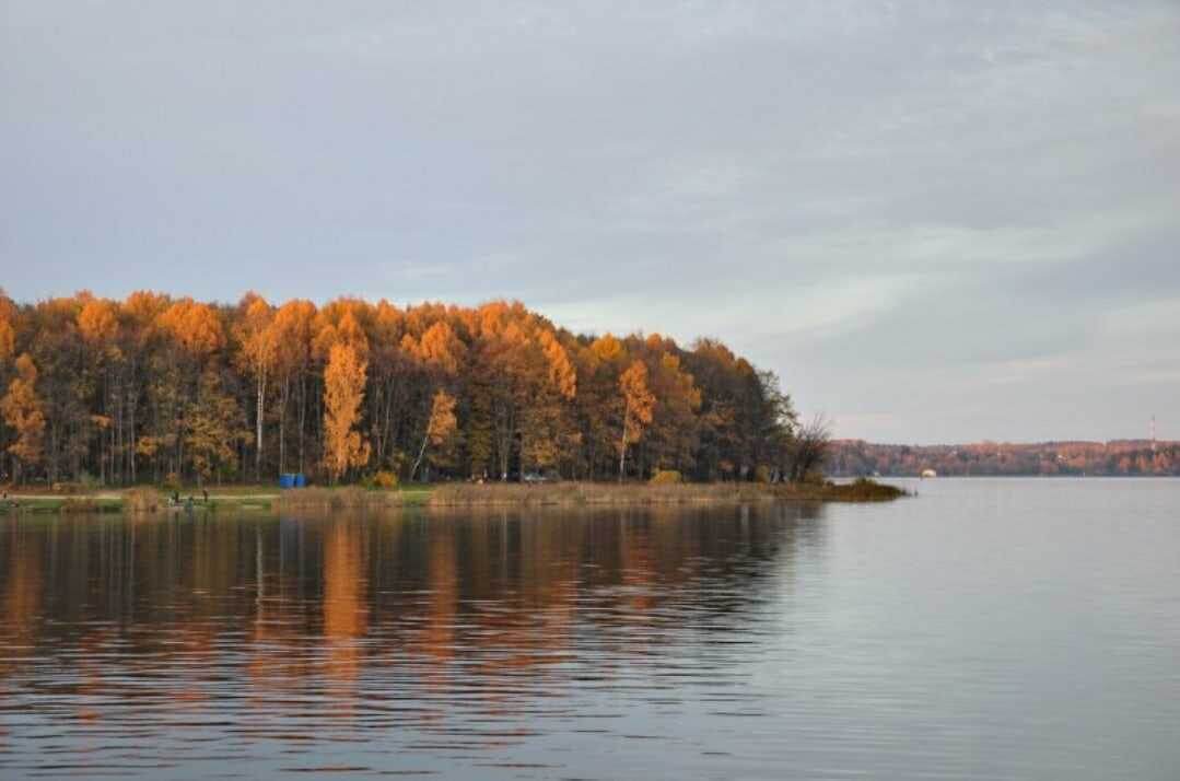 Изображение с сайта logoslab.ru